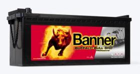 BANNER SHDPRO68008 - BUFFALO BULL SHD PROFESSIONAL 180AH 1000A