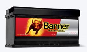 BANNER P9533 - BATERIA POWER BULL 95 AH 780 A D